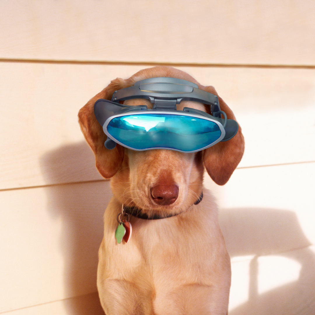 Gadgets for pets