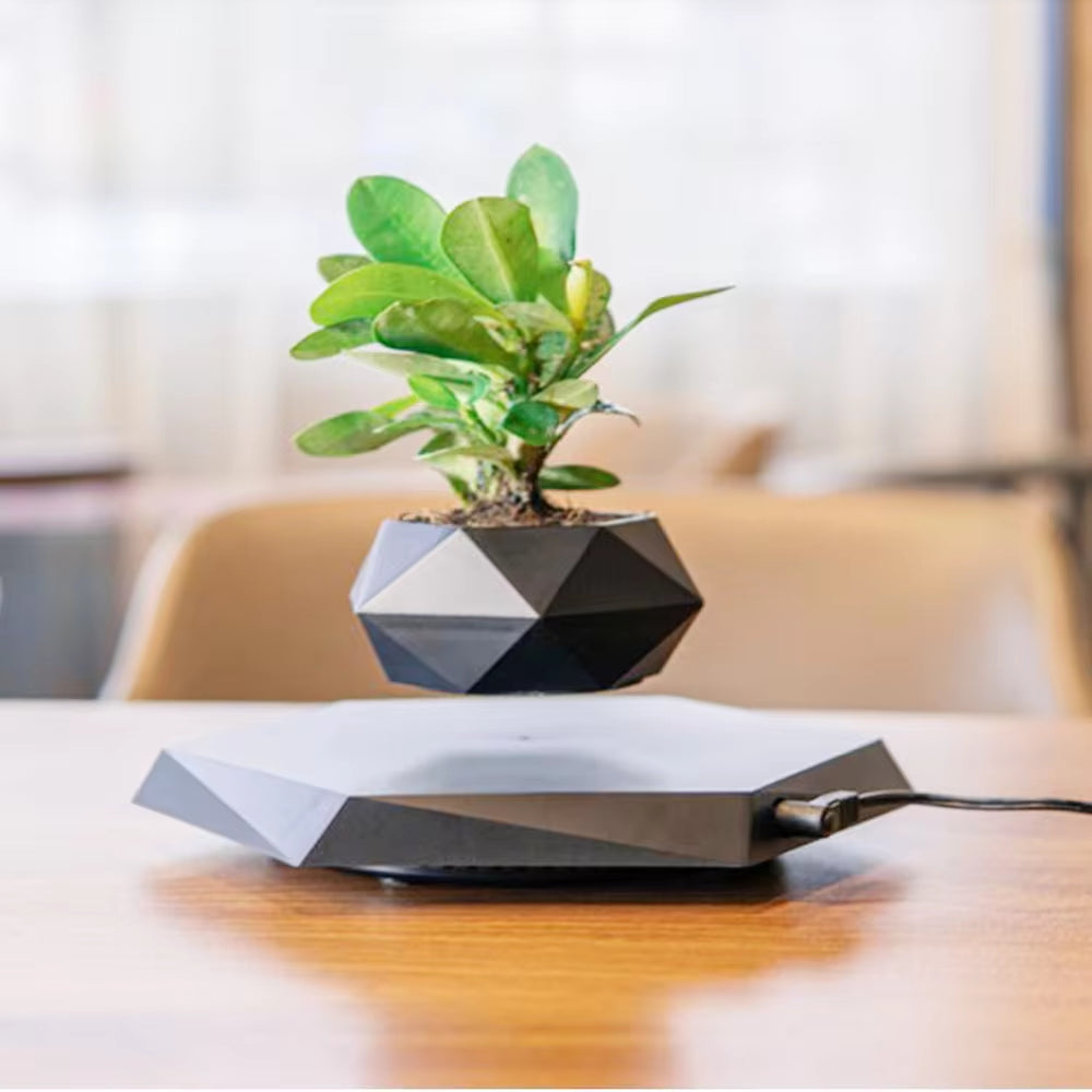 Levitating Air Bonsai Pot Rotation Flower Pot Planters Magnetic Suspension Floating Pot Potted Plant Home without Plants